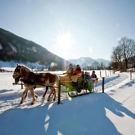 Alps Chalet Murau